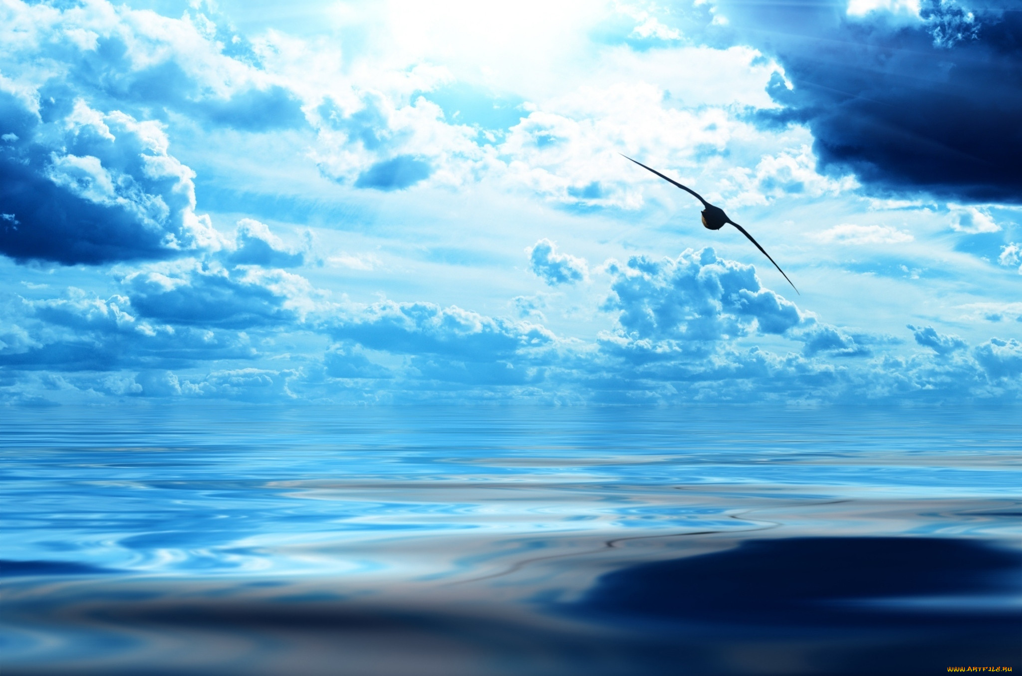 ������, ������������ ������, ������